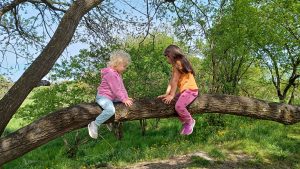 kitafrei - Kinder klettern auf Bäume