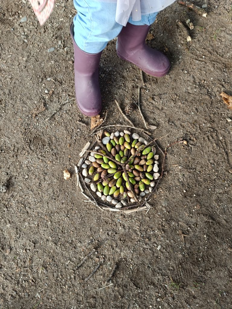 naturmandala, waldmandala, mandala mit kindern