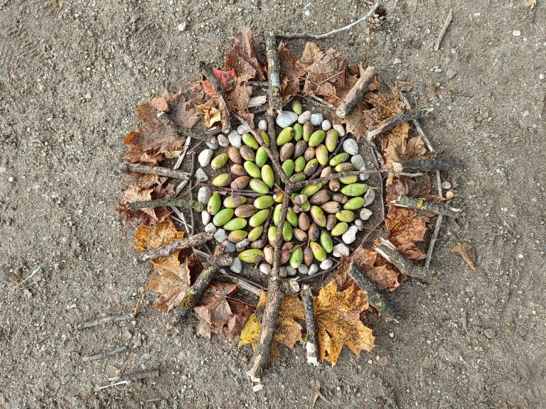 Waldmandala - Naturmandala