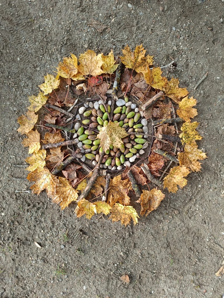 Naturmandala, Herbstsonne